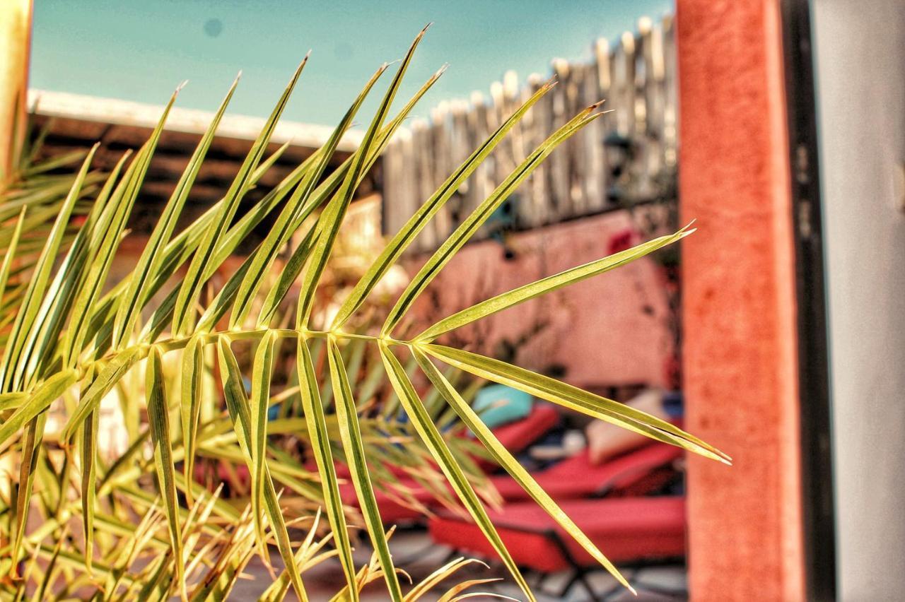 Riad Arabic House & Spa Marrakesh Exterior photo